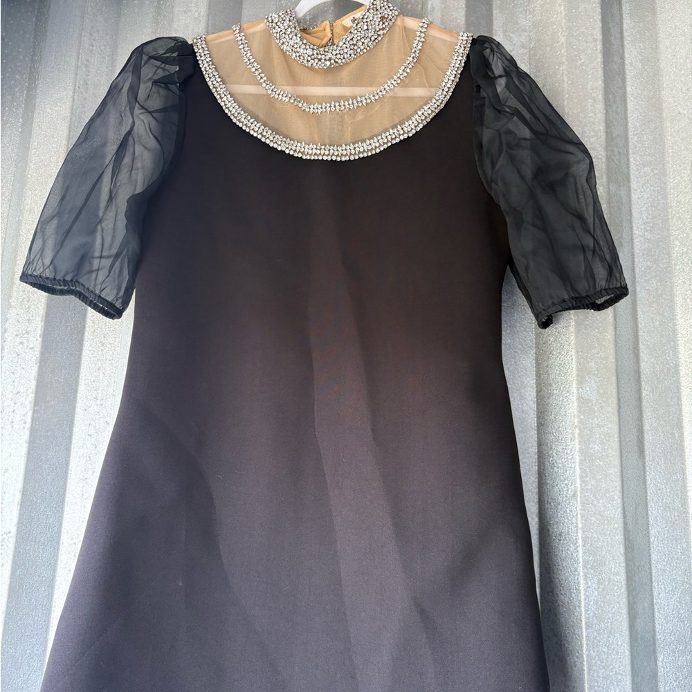 Elegant Black Dress with Sheer Sleeves